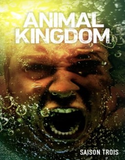 Animal Kingdom saison 3