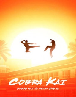 Cobra Kai Saison 1 Episode 7