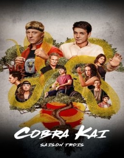 Cobra Kai Saison 3 Episode 6