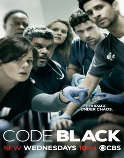 Code Black Saison 1 Episode 15