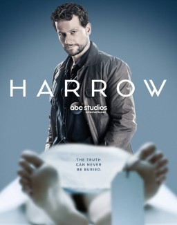 Dr Harrow saison 1