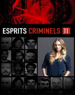 Esprits criminels Saison 11 Episode 19