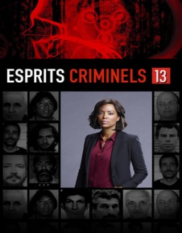 Esprits criminels Saison 13 Episode 6