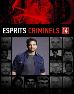 Esprits criminels Saison 14 Episode 9