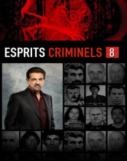 Esprits criminels Saison 8 Episode 19