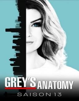 Grey's Anatomy saison 13