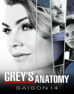 Grey's Anatomy saison 14