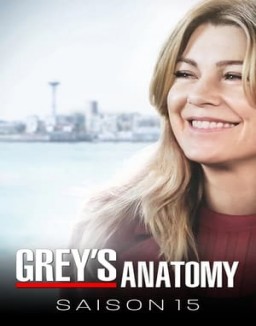 Grey's Anatomy saison 15