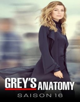 Grey's Anatomy saison 16