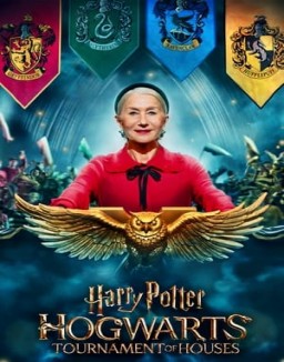 Regarder Harry Potter : le tournoi des quatre maisons en Streaming