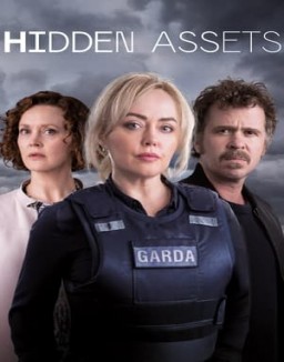 Hidden Assets saison 1