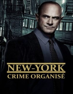 Regarder New York : Crime organisé en Streaming