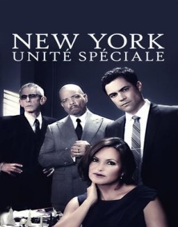 New York : Unité spéciale saison 1