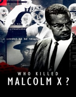 Regarder Qui a tué Malcolm X ? en Streaming