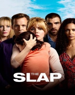 The Slap saison 1