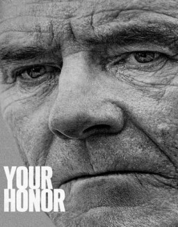 Your Honor saison 1